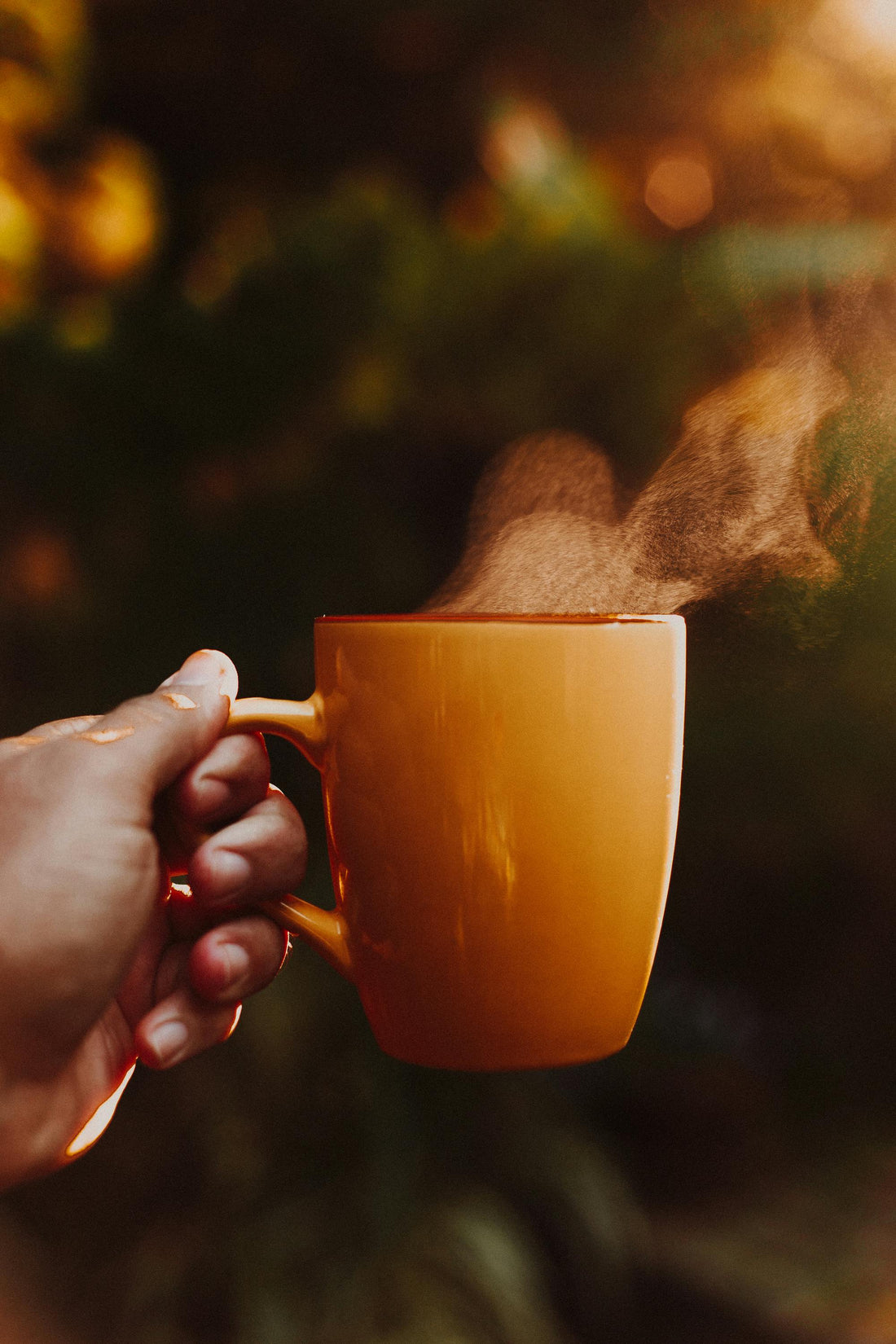 The Power of Morning Routines: Kickstart Your Day